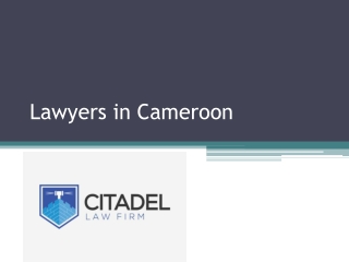 Lawyers in Cameroon