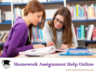 Homework Assignment Help Online