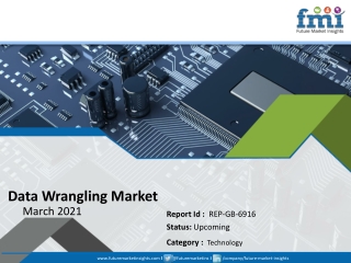 Data Wrangling Market: Overview