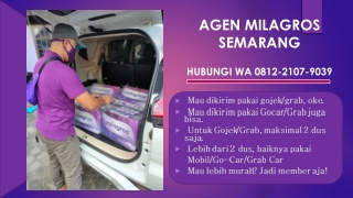 FAST RESPON! WA 0812-2107-9039, Bisnis Mlm Milagros Semarang