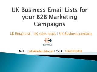 UK Business Email List