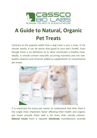 A Guide to Natural, Organic Pet Treats