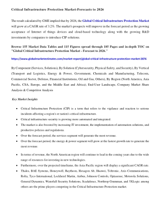 Critical Infrastructure Protection Market Size & Growth