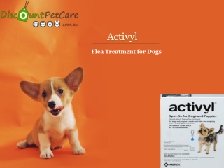 Buy Activyl Flea and Tick for Dogs Treatment Online - DiscountPetCare
