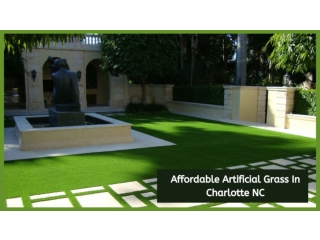 Affordable Artificial Grass In Charlotte NC