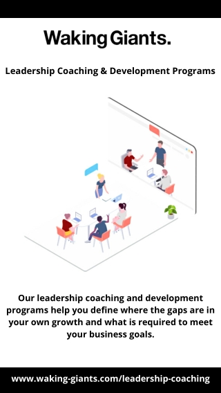 Leadership Coaching And Development Programs