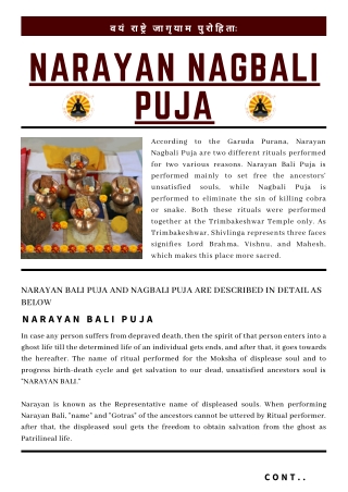 Narayan Nagbali and Narayan Bali Puja, Cost and Benefits