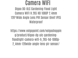 Camera WIFI