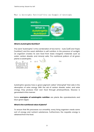 What is Autotrophic Nutrition? Example of Autotrophs | Photosynthesis