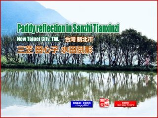 Paddy reflection in Sanzhi Tianxinzi, NTPC, TW. (台灣新北市 三芝田心子 水田倒影)