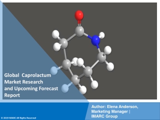 Caprolactam Market PDF, Size, Share, Trends, Industry Scope 2021-2026