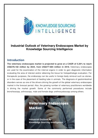 Industrial Outlook of Veterinary Endoscopes Market