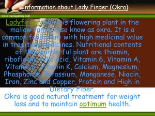 Information about Lady Finger (Okra)