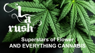 Weed Delivery Chatsworth - LA Rush