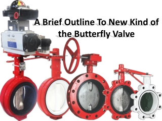 Introduction types of butterfly valves