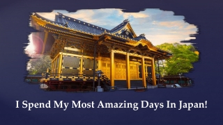 Most Amazing Three Days In Japan
