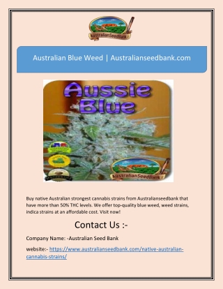 Australian Blue Weed | Australianseedbank.com