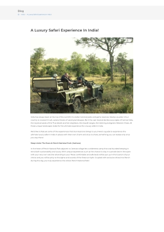 A Luxury Safari Experience In India!