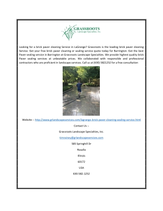 Paver Cleaning LaGrange | Grassroots Landscape Specialties