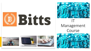 IT Colleges in Mississauga - Bitts International Career College