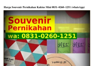 Harga Souvenir Pernikahan Kaktus Mini 083I–0260–I25I[WA]