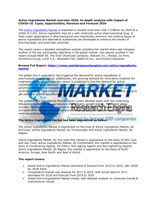 Active Ingredients Market