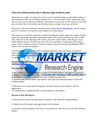 China Pet Clothing Market
