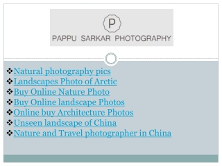 Landscapes Photo of Arctic
