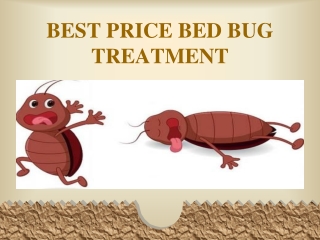 Why do you need chemical free bed bug treatment?