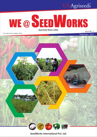 Vegetable Seeds Manufacturers in India
