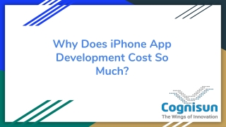 Why Does iPhone App Development Cost So Much?