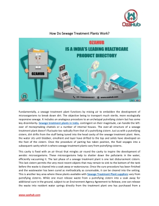 How Do Sewage Treatment Plants Work?