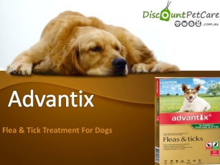 Buy Advantix Flea & Tick Treatment For Dogs Online - DiscountPetCare