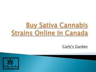 Buy Sativa Cannabis Strains Online In Canada - Carly's Garden