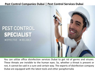 Pest control company Dubai