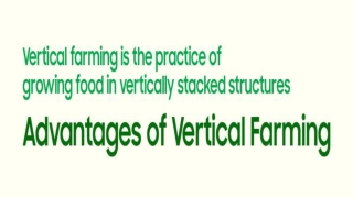 Advantages of Vertical farming