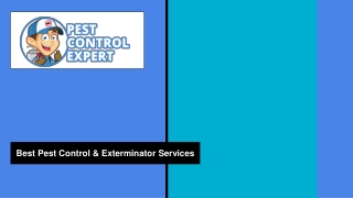 Best Pest Control & Exterminator Services - Pest Control Expert