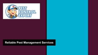 Reliable Pest Management Services - Pest Control Expert