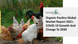 Global Organic Poultry Market Overview And Top Key Players by 2030