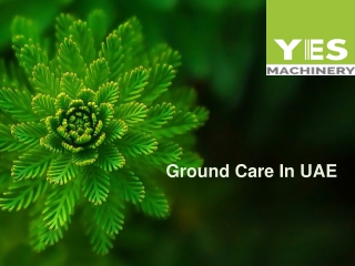 Ground Care In UAE
