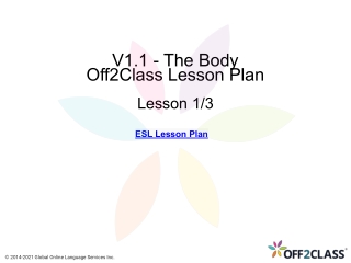 Vocabulary - Body - Free ESL Lesson