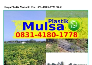 Harga Plastik Mulsa 80 Cm Ô831418Ô1778(WA)