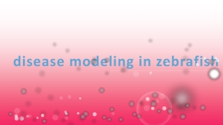 disease modeling in zebrafish
