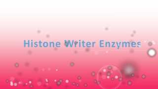 Histone Writer Enzymes