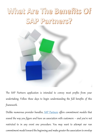 What Are The Benefits Of SAP Partners?