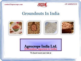 Best Groundnuts In India