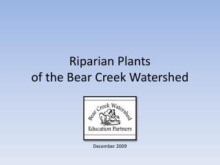 Riparian Plants of the Bear Creek Watershed