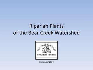 Riparian Plants of the Bear Creek Watershed