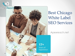 Best Chicago White Label SEO Services - Apexreach.net