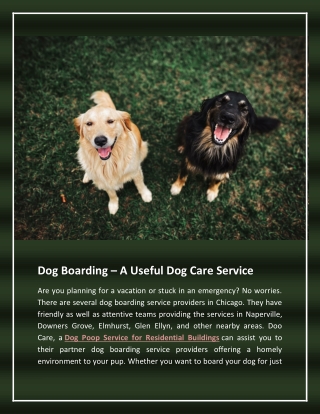Dog Boarding – A Useful Dog Care Service